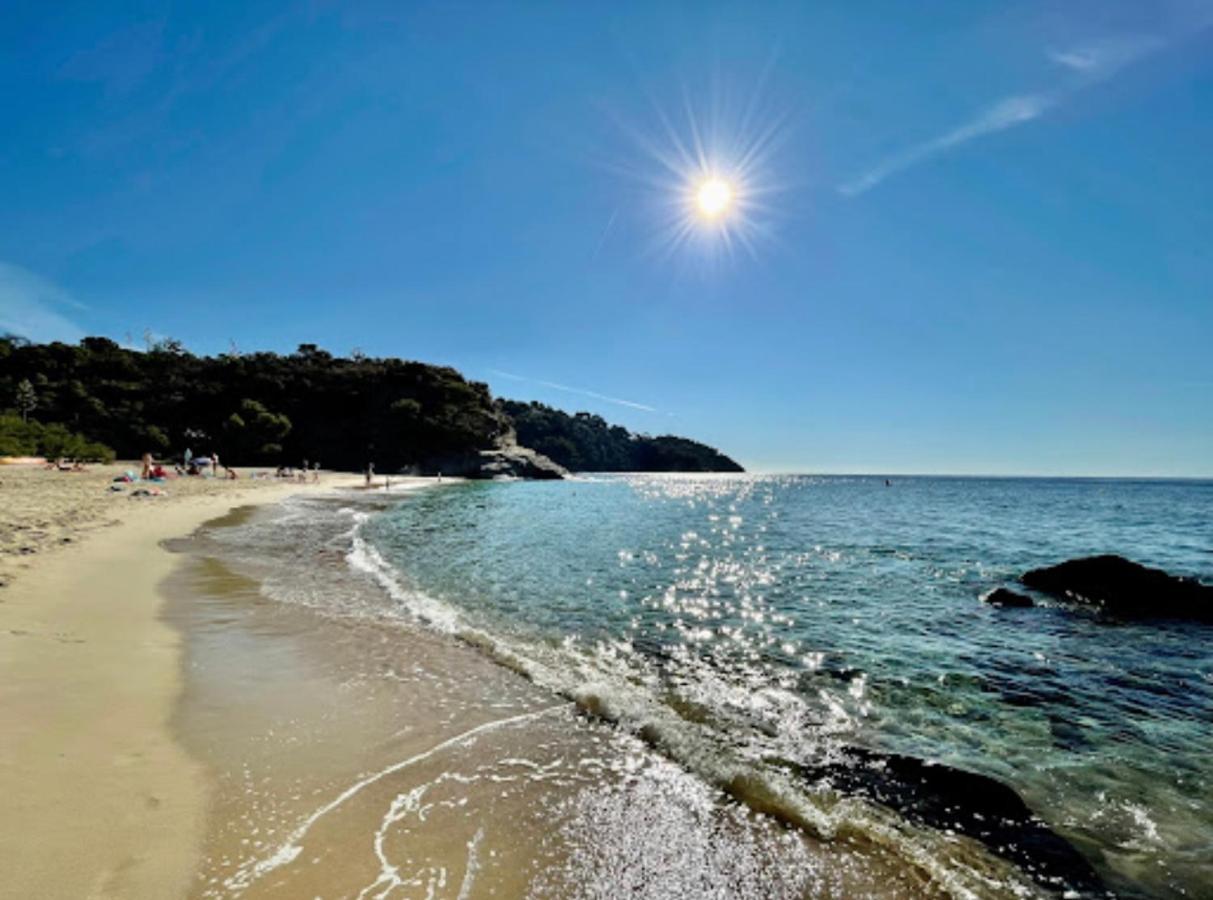 Villa Cacharelle Vue Mer Piscine 카발레르쉬르메르 외부 사진